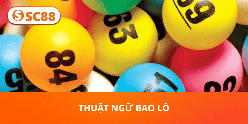 Thuật ngữ bao lô
